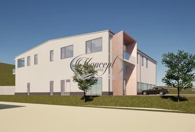 Teren industrial cu autorizatie hala, Valea Chintaului - 2