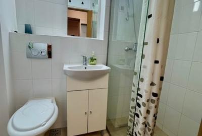 Garsonieră decomandată în Podu Roș - 6