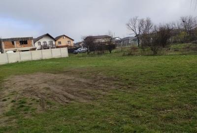 TEREN DE VANZARE DOMNESTI, 600 mp - 2