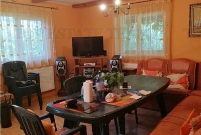 Casa de vacanta in Arges - 4