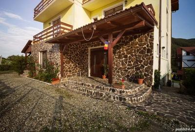 Spațiu comercial, de 431 mp, în Cisnădioara - 4