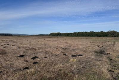 Teren de vanzare in Harman 4,4 Hectare - 11