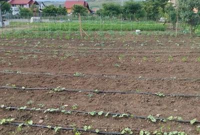 Teren de 8012 mp, în Remetea - 2