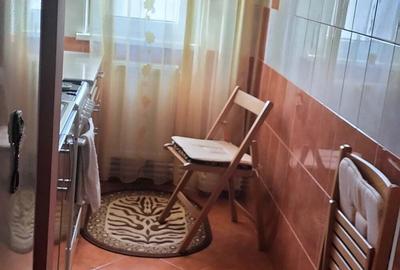 Apartament cu 2 camere semidecomandat în Viziru 3 - 3