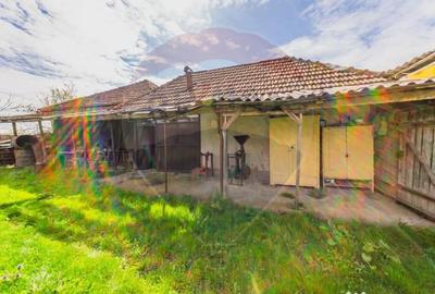 Casă cu 2 camere cu Teren 4500 Mp în Cărand - 11