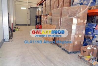 Vanzare hala 400 mp+teren 1500 mp Tunari - 6