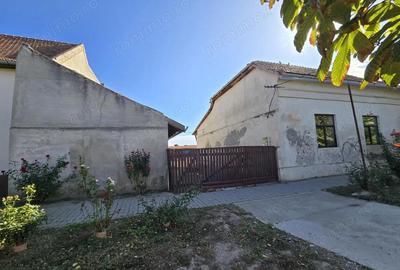 Casă cu 3 camere cu Teren 669 Mp în Cenad - 1