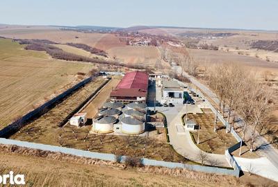 Spațiu comercial, de 2,800 mp, în Buciumeni - 2