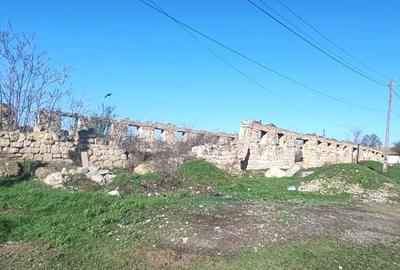 Teren Construcții intravilan de 2900 mp, în Mircea Vodă - 1