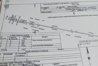 Teren de 7372 mp, în Tetila