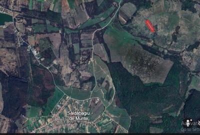 Teren extravilan de 8300 mp, în Uileacu de Munte - 3