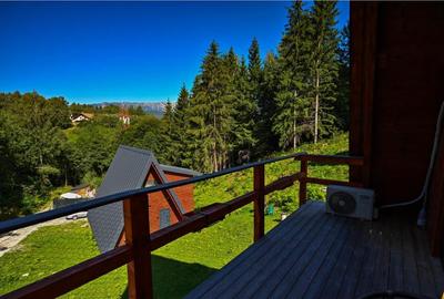 A Frame cu vedere la Piatra Craiului Moieciu, Brasov - 14