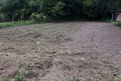 Casa cu gradina si terenuri - 2