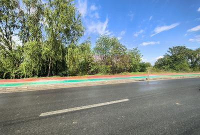 Casă individuală cu 3 camere cu Canalizare în Câmpurelu - 53