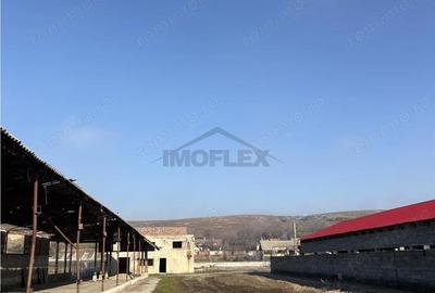 Spațiu comercial, de 4,800 mp, în Araci - 2