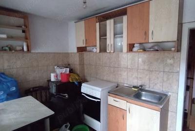 Casa cu 3 camere in Ineu - 8