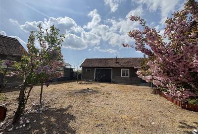 Casă individuală cu 4 camere cu Teren 5526 Mp în Cheșa - 20