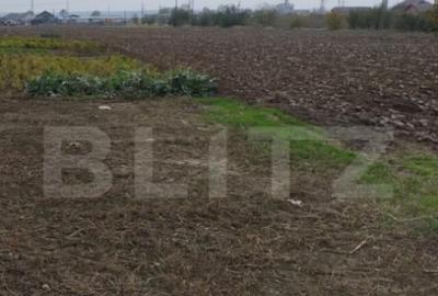 Teren de 3000 mp, în Ișalnița - 1