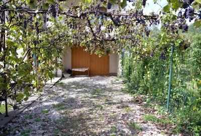 Casă cu 4 camere în Săvârșin - 2