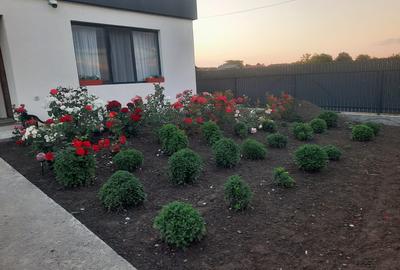 Casă individuală cu 3 camere cu Canalizare în Tătarca - 11