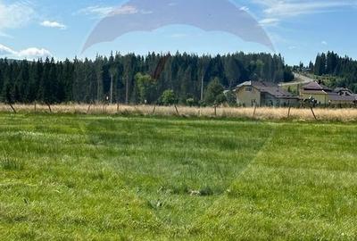 Teren partial intravilan 30,930 mp Poiana Stampei-DN E58, Suceava - 11