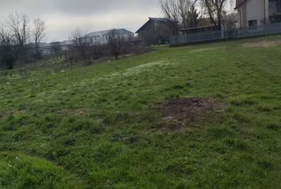 TEREN DE VANZARE DOMNESTI, 600 mp - 7