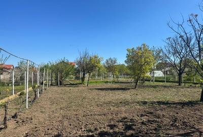 Casă individuală cu 5 camere cu Teren 1536 Mp în Variaș - 2