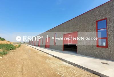 Hale industriale, parc modern, Rudeni, Chitila, Ilfov- ID 15462 Hale industriale, parc modern, Rudeni, Chitila, Ilfov- ID 15462 - 20