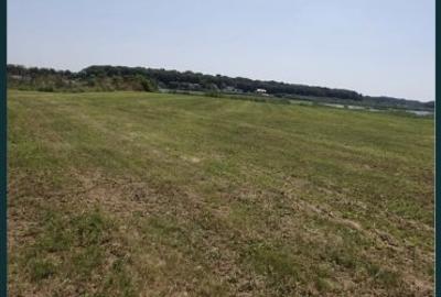 Teren Superb situat pe malul lacului Snagov Silistea langa palatul Ginga - 7
