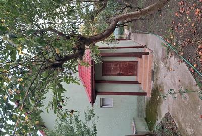 Casa de vanzare P+1 in Otopeni Zona centrala - 1