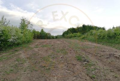 Teren Construcții intravilan de 2000 mp, în Moșoaia - 1