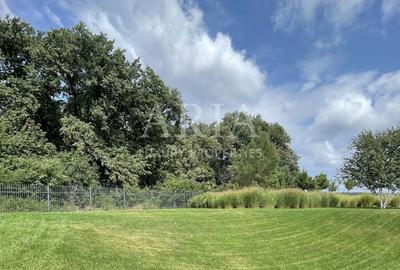 Dumbrava Vlasiei – Armonie între design, lumină și natură - 10