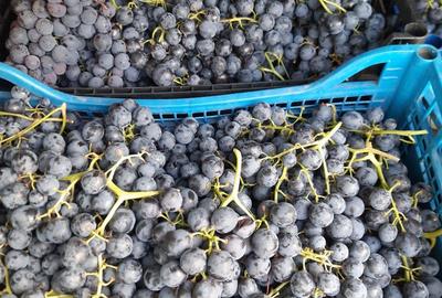 Casă cu 3 camere în Dumbrăveni - 3