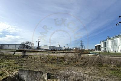 Teren Intravilan Industrial 13.164 mp, Zona Constantin Mille-Carei-Comision 0% - 6
