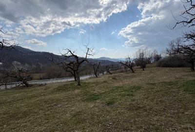 Spațiu comercial, în Malu cu Flori - 6