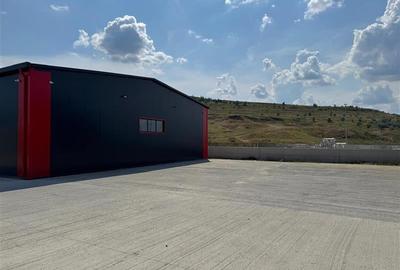 Parc Logistic in Miroslava alcătuit din 5 hale - 4