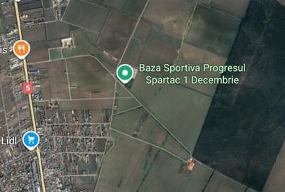 Teren în 1 Decembrie - 1