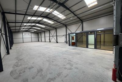 Ovidiu, euohala  380 mp., constructie 2022. - 4