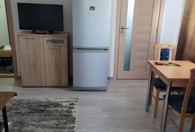 Apartament cu 2 camere semidecomandat în Dosu Bricii - 4