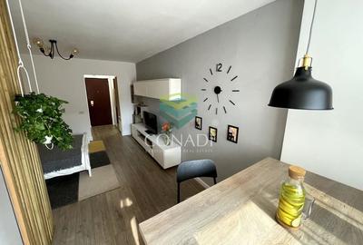 Garsoniera renovata modern str Nada Florilor - Teiul Domnei - 24