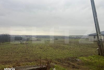 Teren de 2298 mp, în Robănești - 6