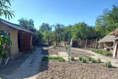 Casă cu 2 camere cu Teren 3000 Mp în Râmnicelu - 6