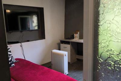 Casă cu 2 camere cu Teren 3000 Mp în Central - 4