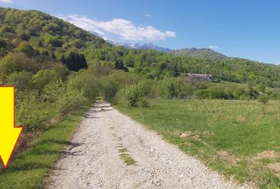 Vanzare 1266 mp teren superb Cheile Rasnoavei la munte langa padure si pensiuni - 12