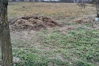 Casă cu 2 camere în Mânăstireni - 5