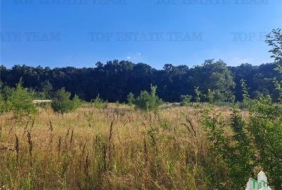 Casa cu teren 3579mp in com. Cascioarele, Jud. Giurgiu Casa cu teren 3579mp in com. Cascioarele, Jud. Giurgiu - 5