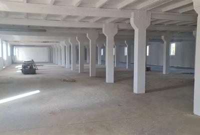 Spațiu industrial, de 500 mp, în 3 Insule - 1