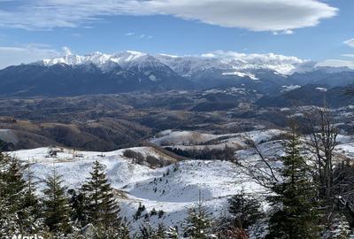 Teren de 1000 mp, în Fundata - 13