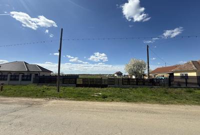 Teren de 2000 mp, în Micula - 1