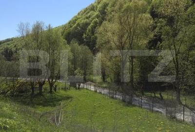 Casă cu 6 camere cu Teren 4159 Mp în Telciu - 15
